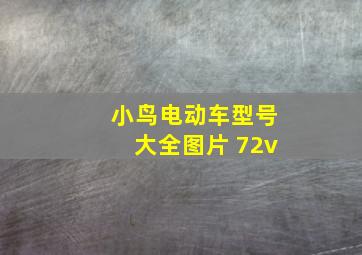 小鸟电动车型号大全图片 72v